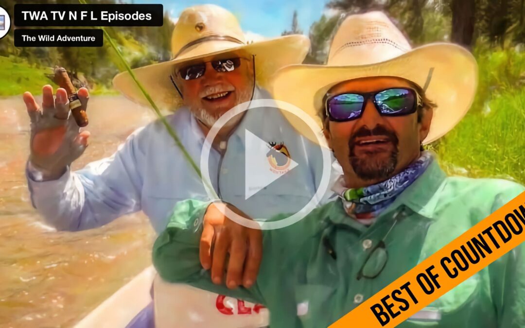 Best of TWA TV N F L Videos 1