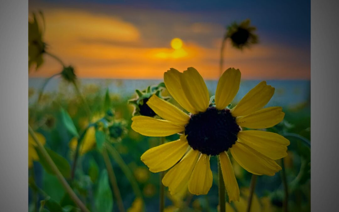 30 Days Makes A Habit