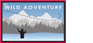 The Wild Adventure